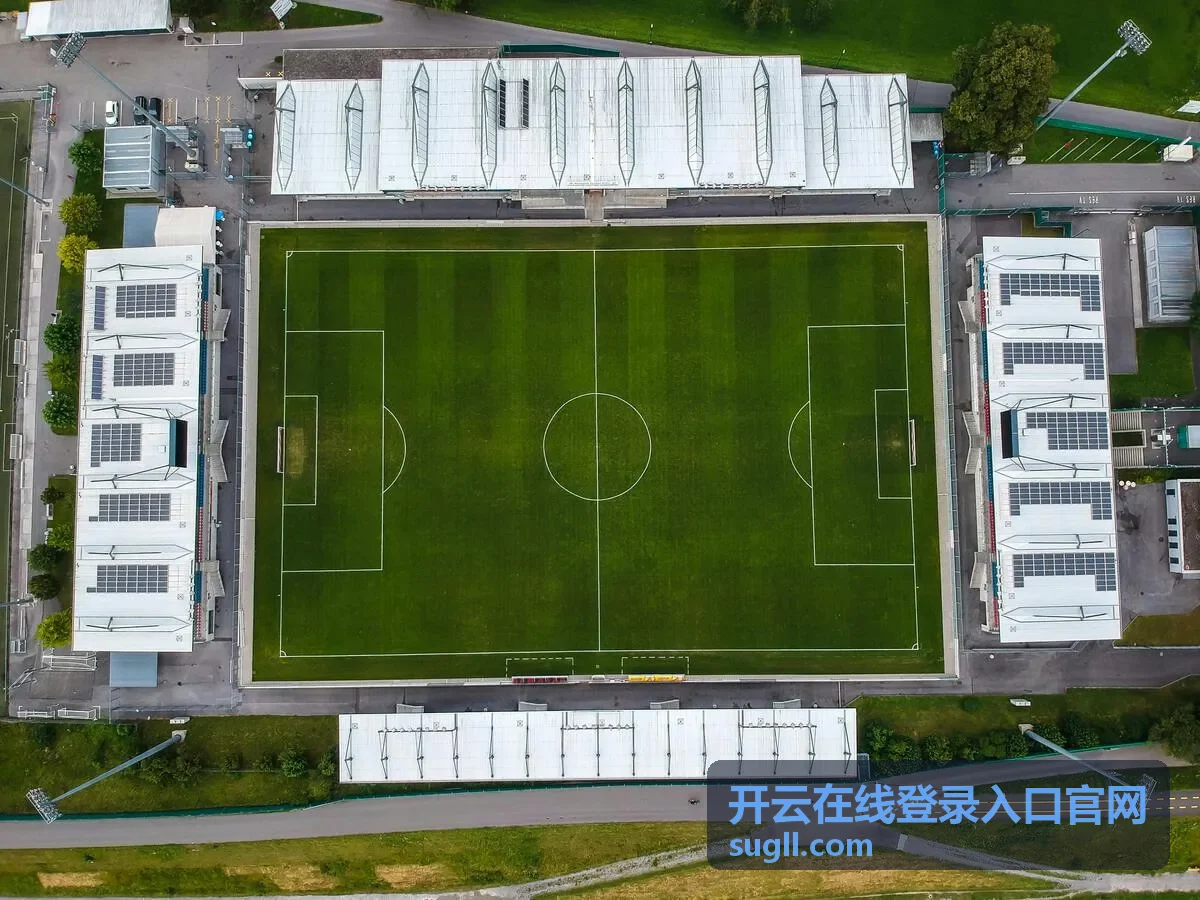 开云在线登录入口官网手机号验证码登录说明