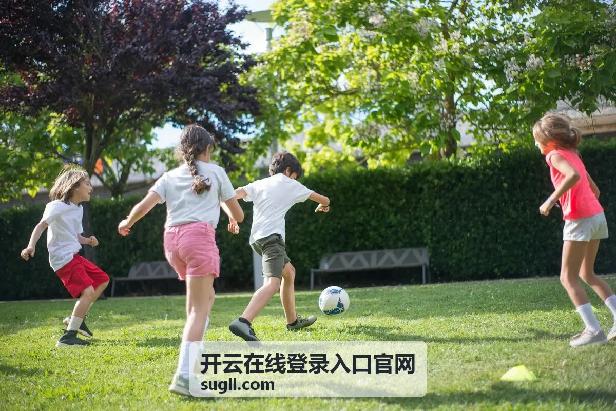 开云在线登录入口安全防护清单
