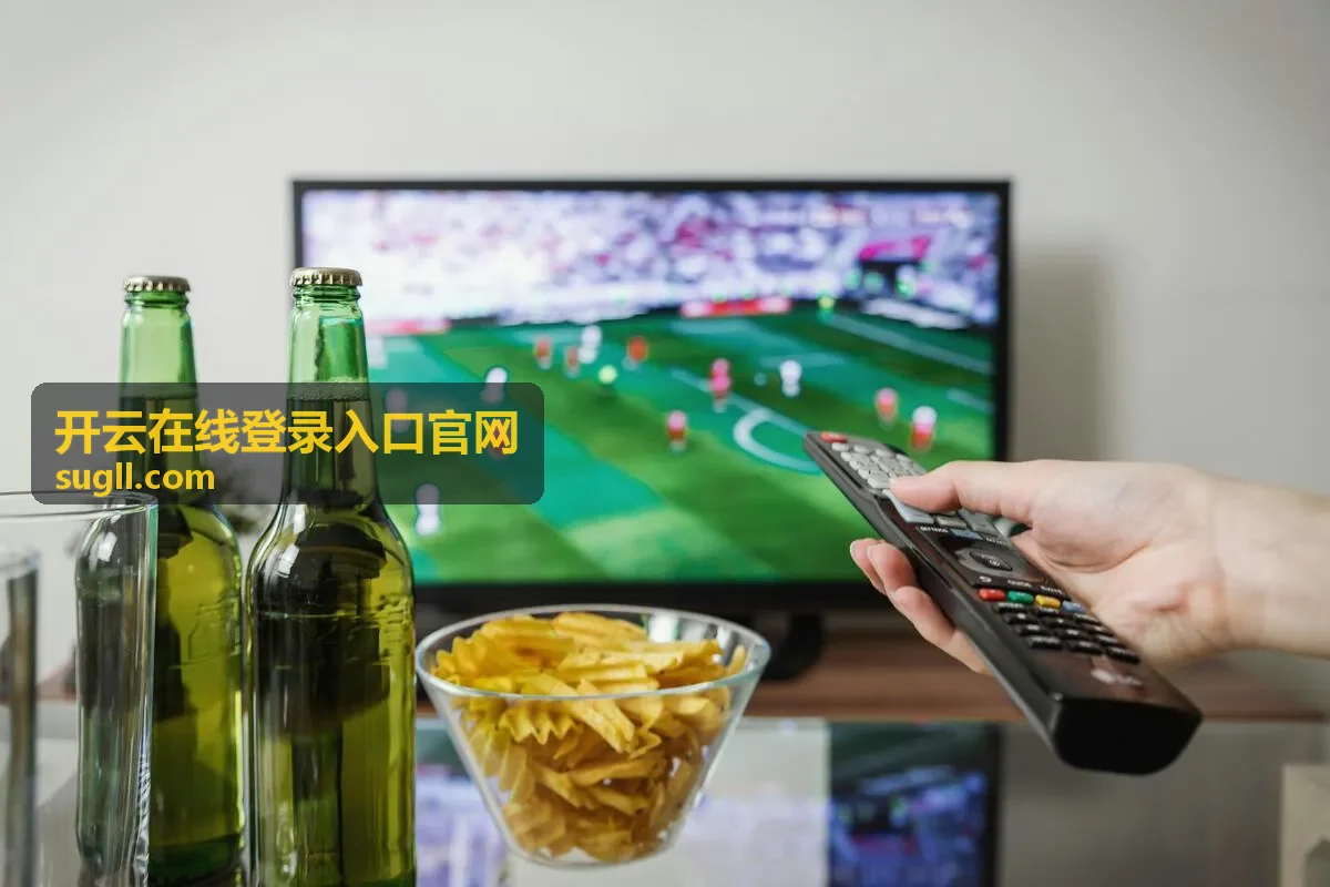 开云在线登录入口官网安全验证说明示意图
